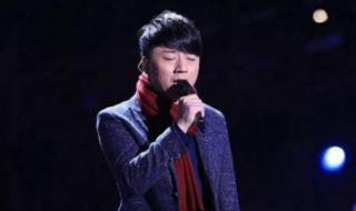中国好声音十位冠军 历届好声音冠军